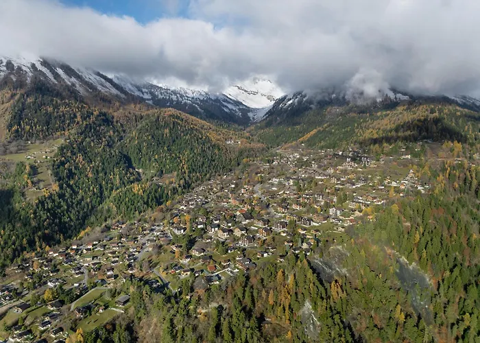 Eaux-vives 201 By Interhome Lejlighed *